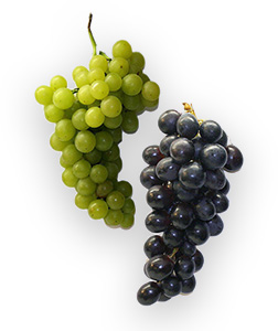 von Tobel Weine Kehrsatz